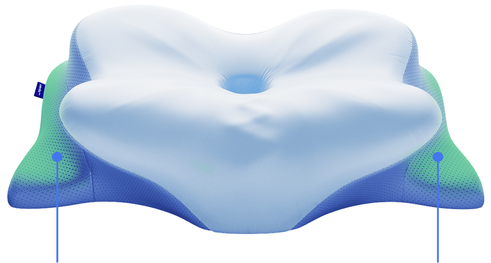 Airplane Neck Pillow